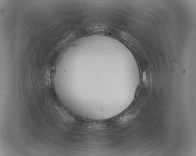 X0000081291203200701251644