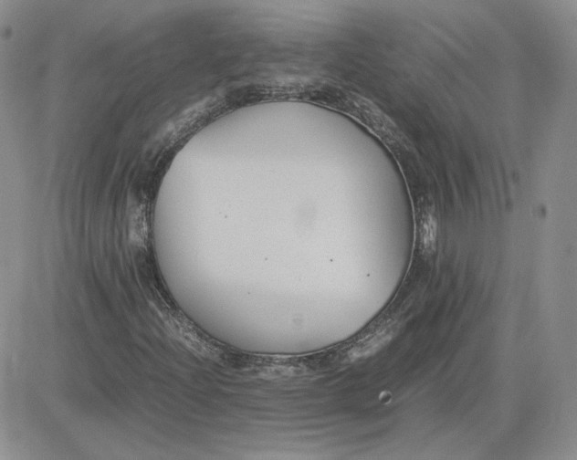 X0000081291204200701251644