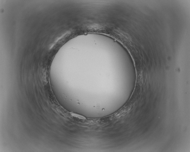 X0000081291205200701251644