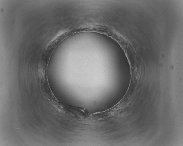 X0000081291206200701251644