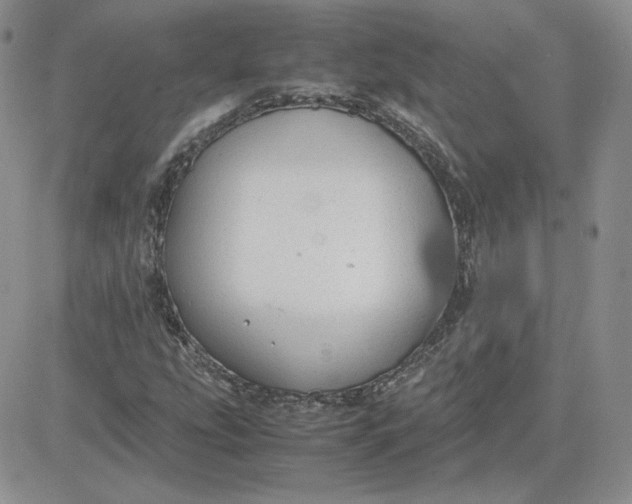 X0000081291207200701251644