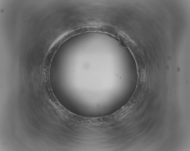 X0000081291208200701251644