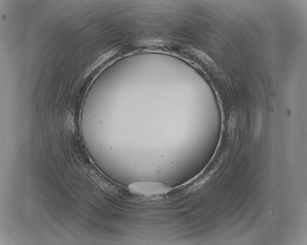 X0000081291209200701251644