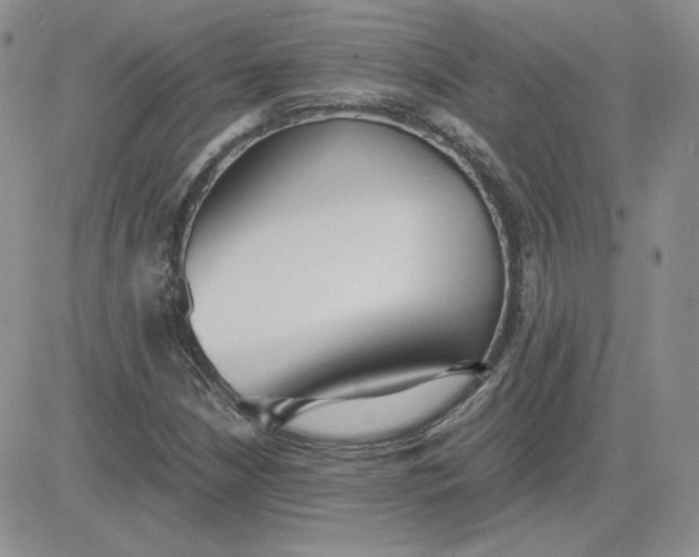 X0000081291210200701251644