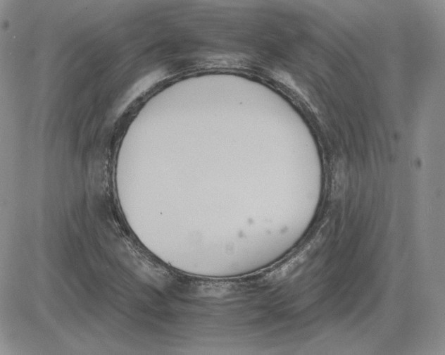 X0000081291211200701251644