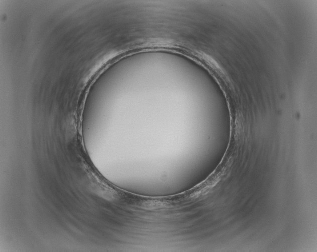 X0000081291212200701251644