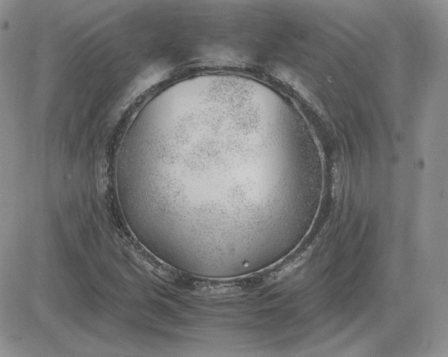 X0000081291213200701251644