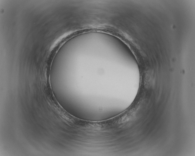 X0000081291214200701251644