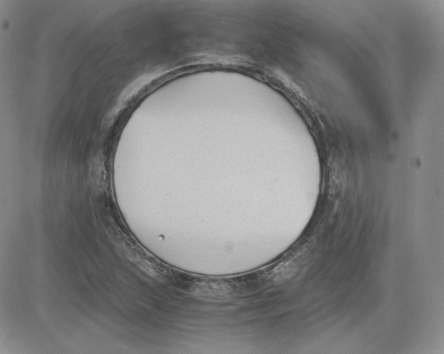 X0000081291215200701251644