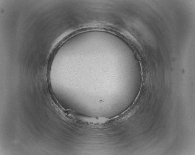 X0000081291216200701251644