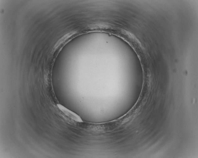 X0000081291217200701251644