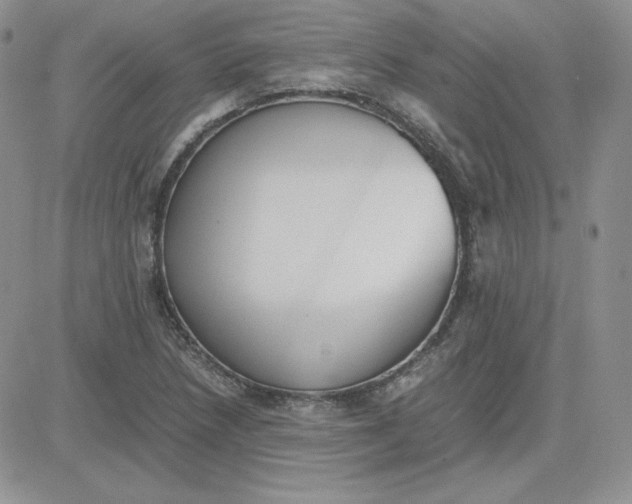 X0000081291218200701251644