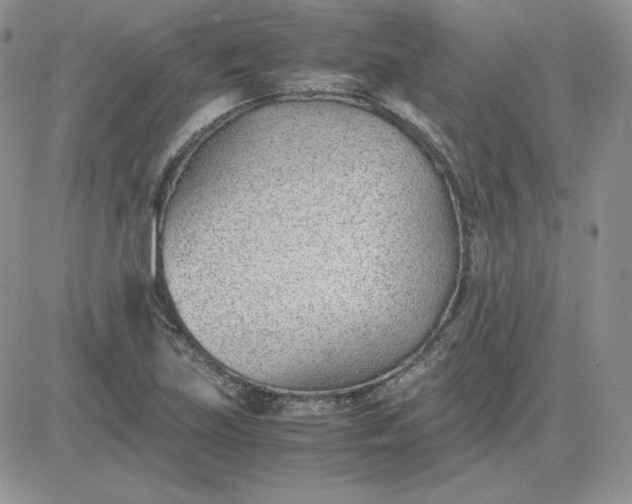 X0000081291219200701251644