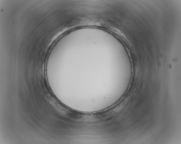 X0000081291220200701251644