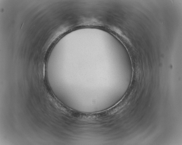 X0000081291221200701251644