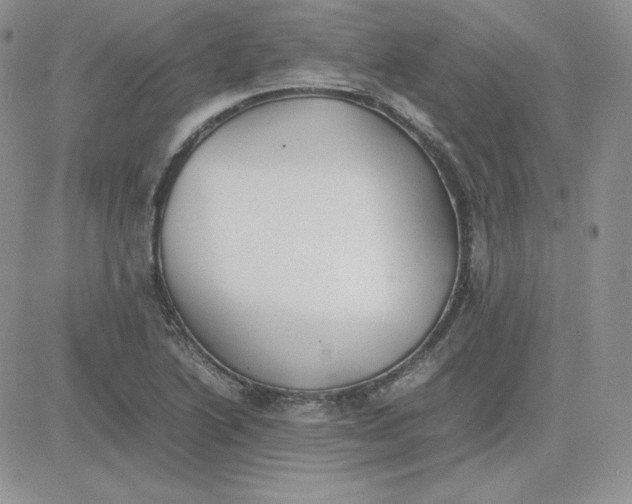 X0000081291222200701251644