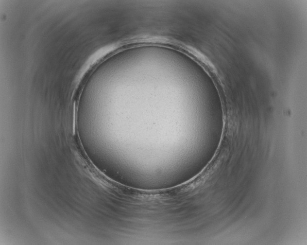 X0000081291223200701251644