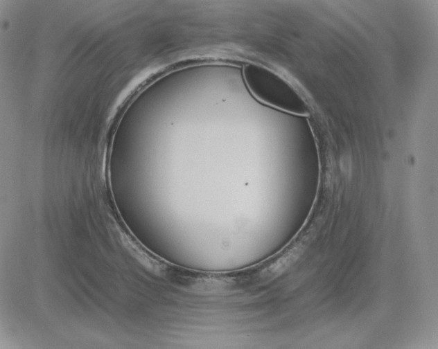 X0000081291224200701251644