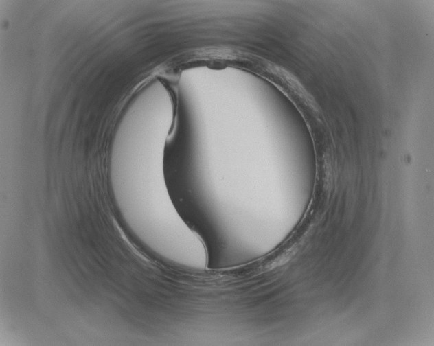 X0000081291225200701251645