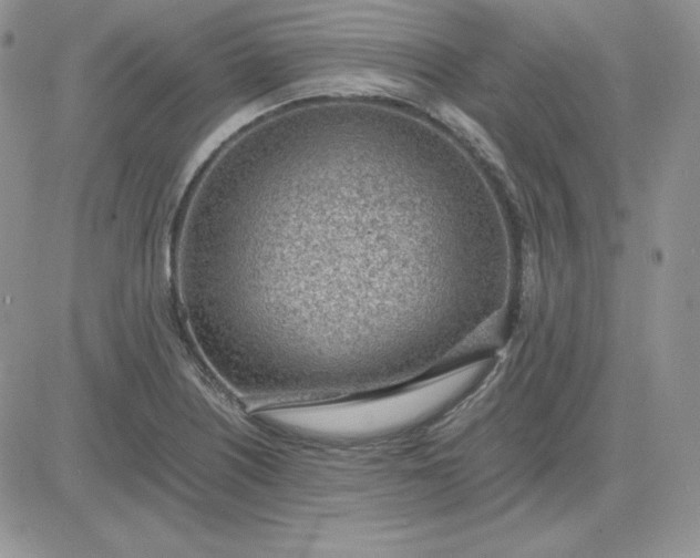 X0000081291226200701251645