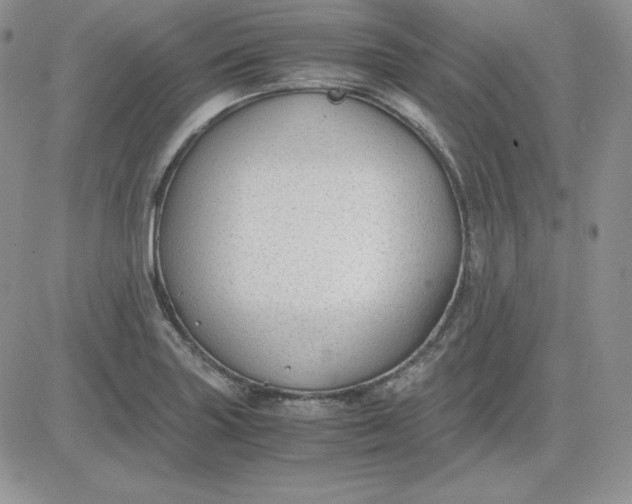 X0000081291227200701251645