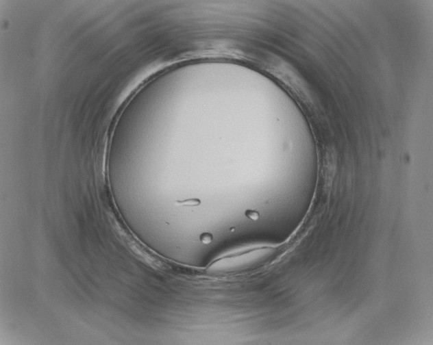 X0000081291228200701251645