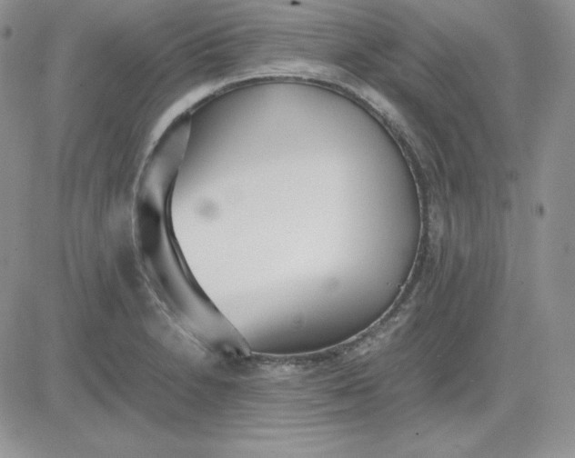 X0000081291230200701251645