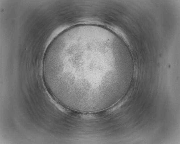 X0000081291231200701251645