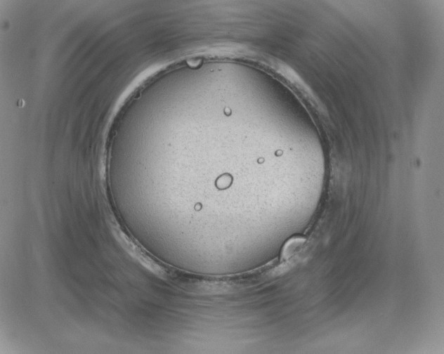 X0000081291232200701251645