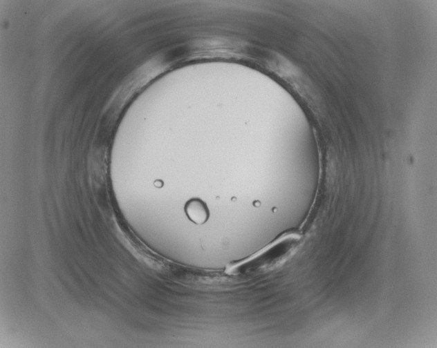 X0000081291233200701251645