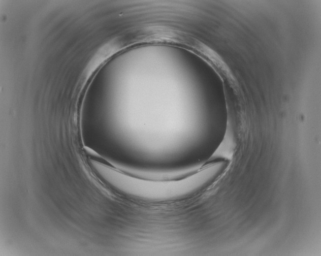 X0000081291234200701251645