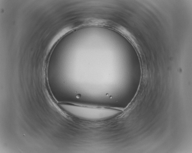 X0000081291235200701251645