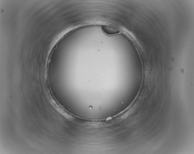 X0000081291236200701251645