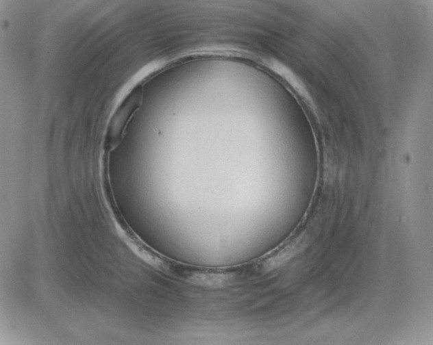 X0000081291237200701251645