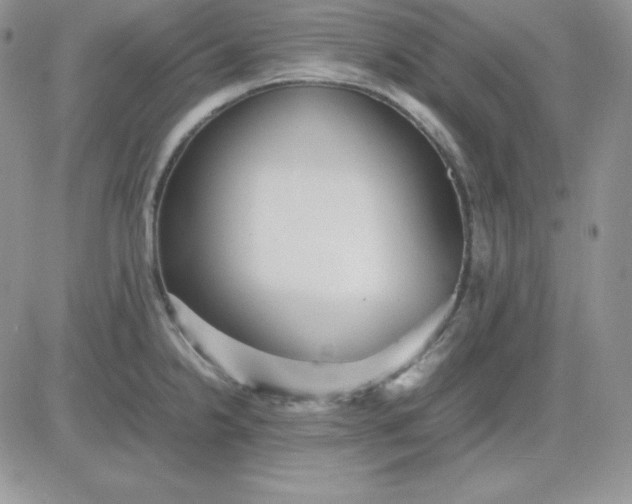 X0000081291238200701251645