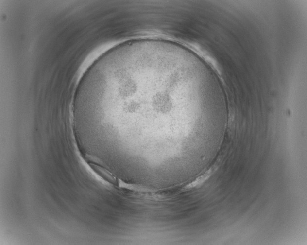 X0000081291239200701251645