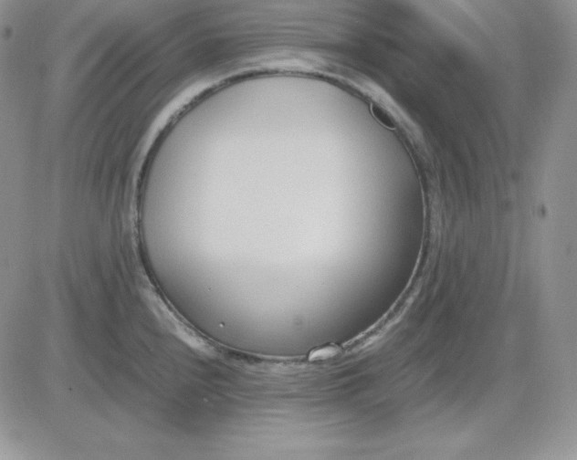 X0000081291240200701251645