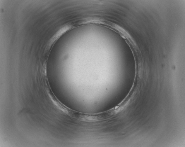 X0000081291241200701251645