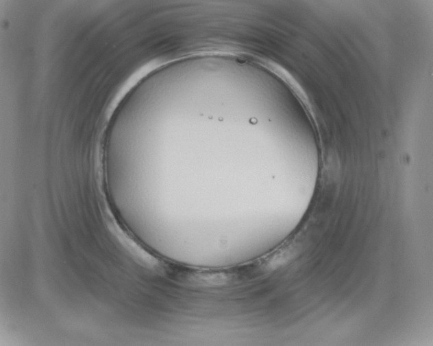 X0000081291243200701251645