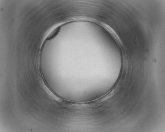 X0000081291244200701251645