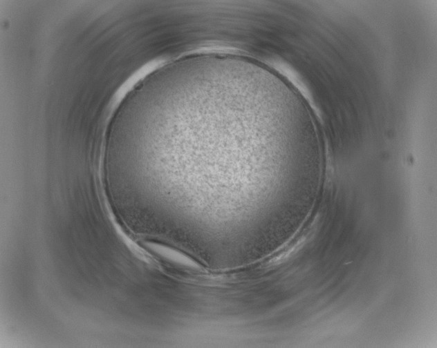 X0000081291245200701251645