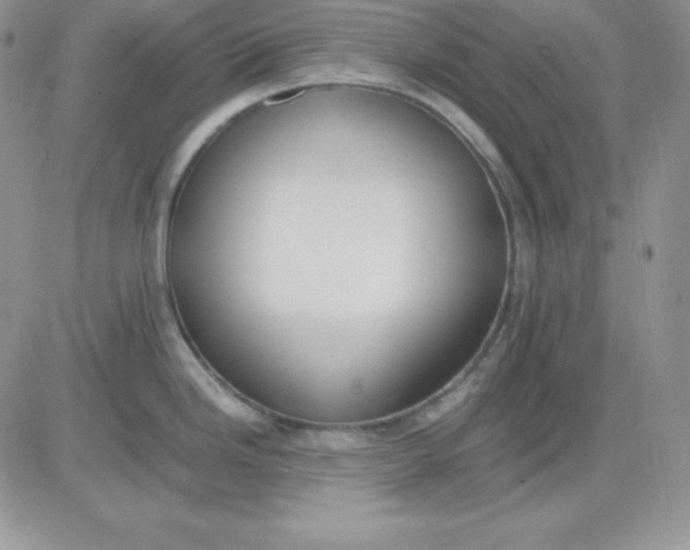 X0000081291246200701251645