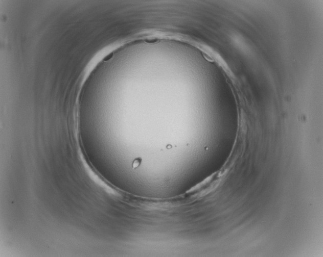 X0000081291247200701251645