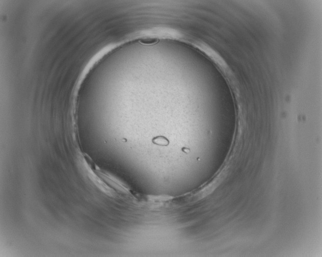 X0000081291248200701251645