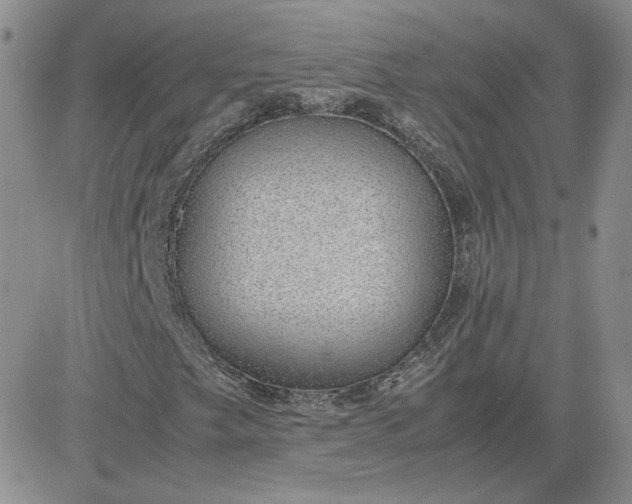 X0000081291249200701251644