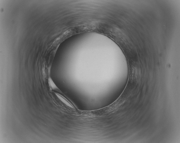 X0000081291250200701251644