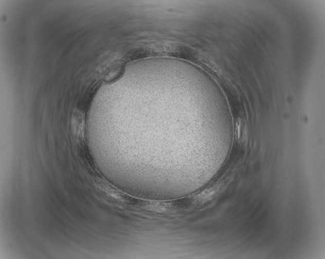 X0000081291251200701251644