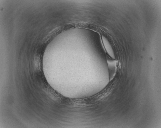 X0000081291252200701251644