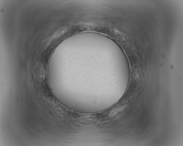 X0000081291253200701251644