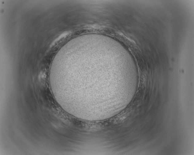 X0000081291254200701251644